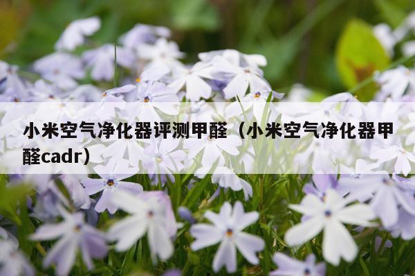 小米空气净化器评测甲醛（小米空气净化器甲醛cadr）