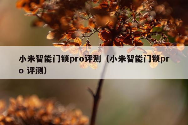 小米智能门锁pro评测（小米智能门锁pro 评测）