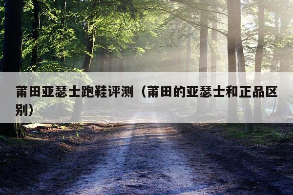 莆田亚瑟士跑鞋评测（莆田的亚瑟士和正品区别）