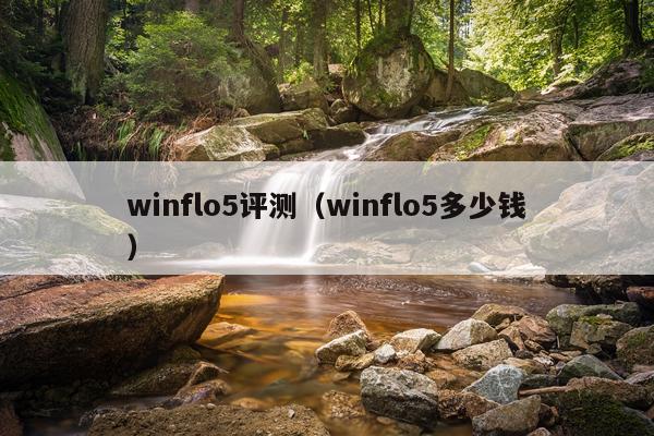 winflo5评测（winflo5多少钱）