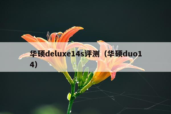 华硕deluxe14s评测（华硕duo14）