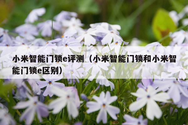 小米智能门锁e评测（小米智能门锁和小米智能门锁e区别）