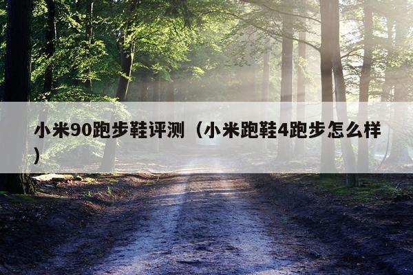 小米90跑步鞋评测（小米跑鞋4跑步怎么样）