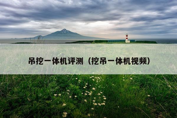 吊挖一体机评测（挖吊一体机视频）