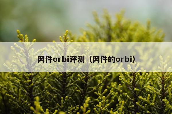 网件orbi评测(网件的orbi)
