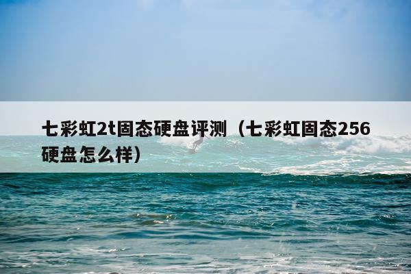 七彩虹2t固态硬盘评测(七彩虹固态256硬盘怎么样)
