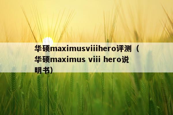 华硕maximusviiihero评测（华硕maximus viii hero说明书）