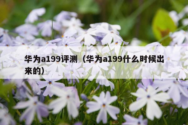 华为a199评测（华为a199什么时候出来的）