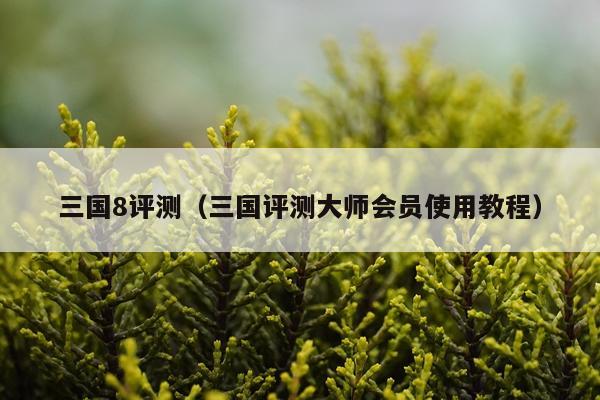 三国8评测（三国评测大师会员使用教程）