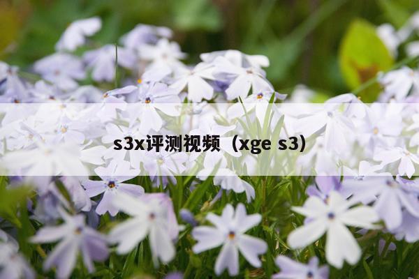 s3x评测视频（xge s3）