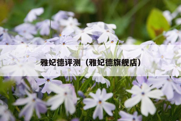雅妃德评测（雅妃德旗舰店）