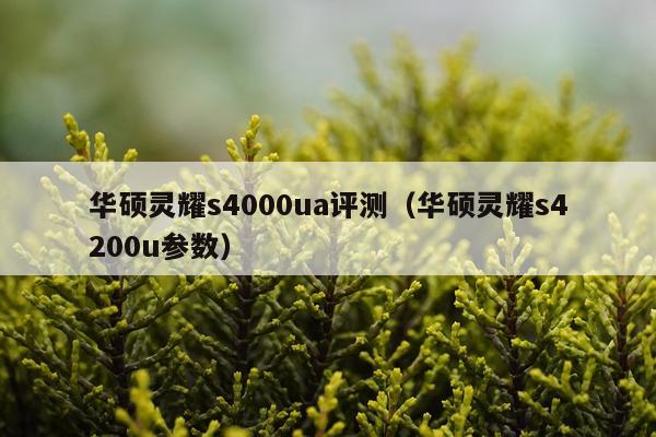 华硕灵耀s4000ua评测（华硕灵耀s4200u参数）
