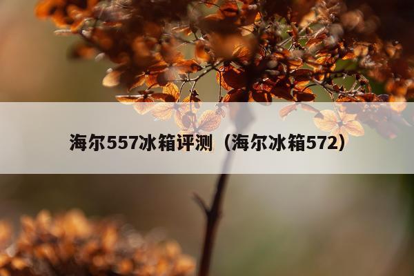 海尔557冰箱评测(海尔冰箱572)