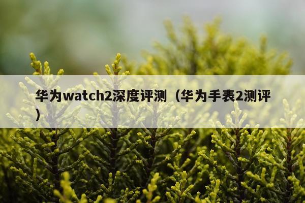 华为watch2深度评测（华为手表2测评）
