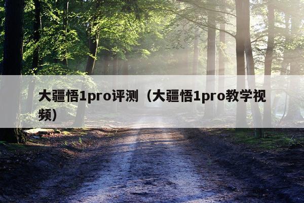 大疆悟1pro评测(大疆悟1pro教学视频)