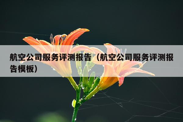 航空公司服务评测报告（航空公司服务评测报告模板）
