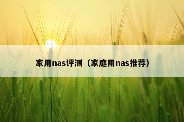 家用nas评测（家庭用nas推荐）