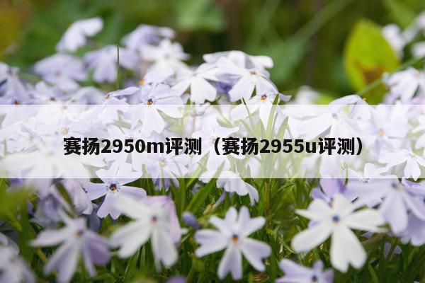 赛扬2950m评测(赛扬2955u评测)