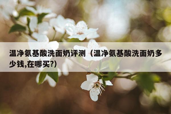 温净氨基酸洗面奶评测（温净氨基酸洗面奶多少钱,在哪买?）