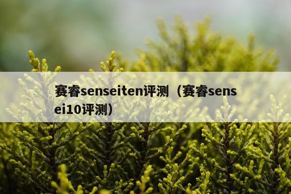 赛睿senseiten评测（赛睿sensei10评测）