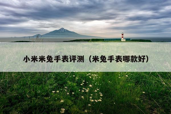 小米米兔手表评测（米兔手表哪款好）
