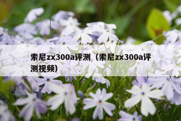 索尼zx300a评测（索尼zx300a评测视频）