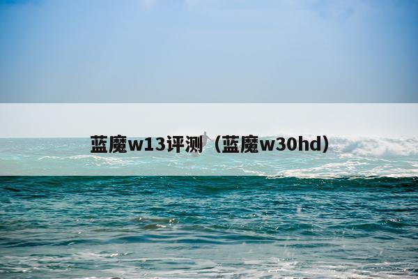 蓝魔w13评测（蓝魔w30hd）