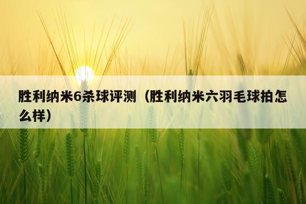 胜利纳米6杀球评测（胜利纳米六羽毛球拍怎么样）
