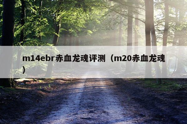m14ebr赤血龙魂评测（m20赤血龙魂）