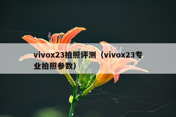 vivox23拍照评测（vivox23专业拍照参数）