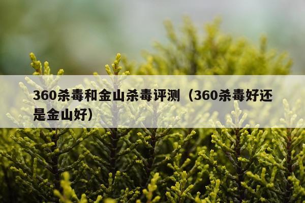 360杀毒和金山杀毒评测(360杀毒好还是金山好)