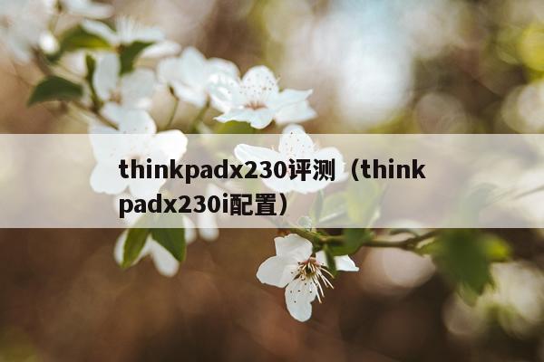 thinkpadx230评测（thinkpadx230i配置）