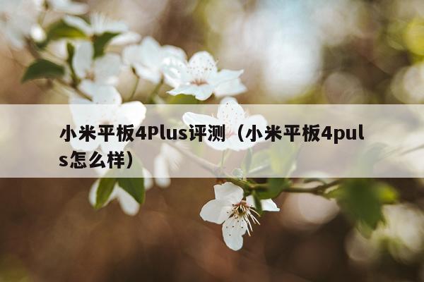 小米平板4Plus评测（小米平板4puls怎么样）