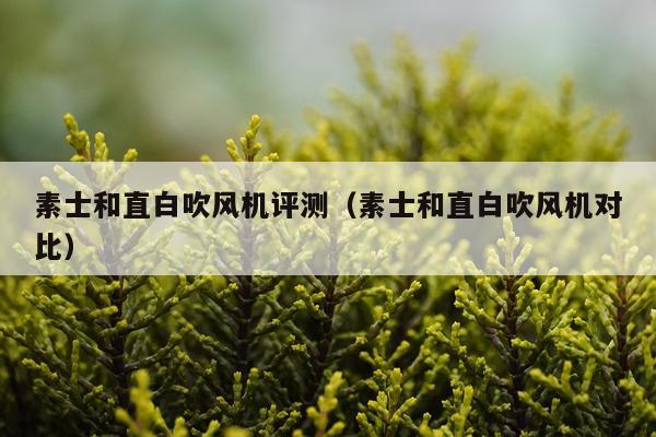 素士和直白吹风机评测（素士和直白吹风机对比）