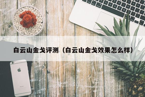 白云山金戈评测（白云山金戈效果怎么样）