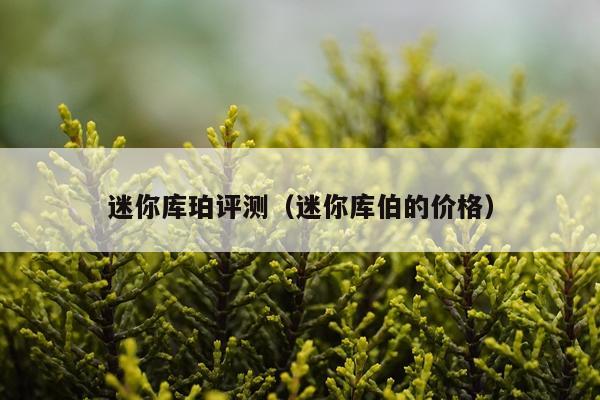 迷你库珀评测（迷你库伯的价格）