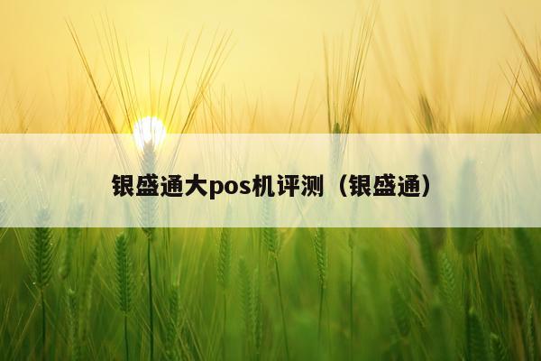 银盛通大pos机评测（银盛通）