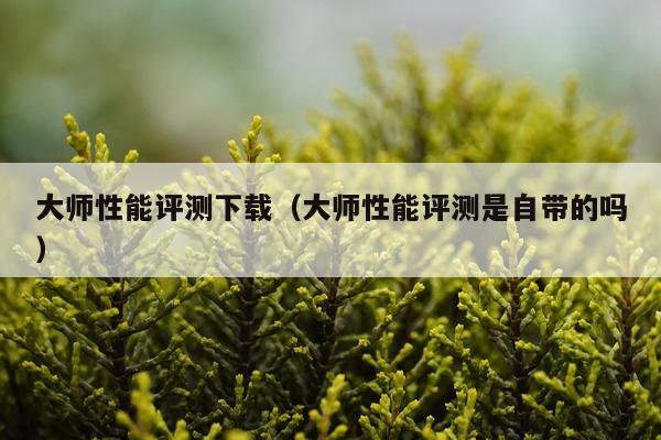 大师性能评测下载（大师性能评测是自带的吗）