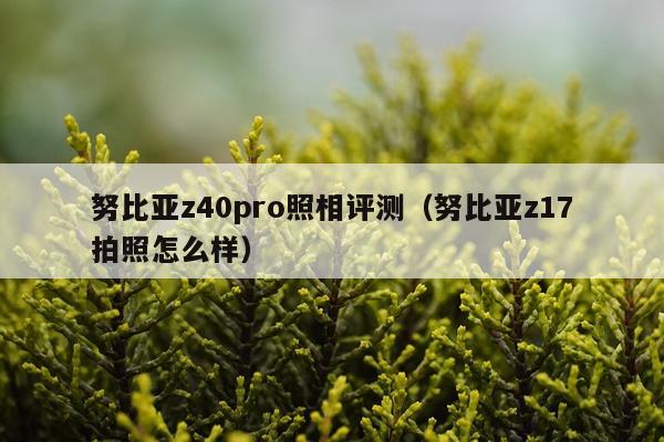 努比亚z40pro照相评测（努比亚z17拍照怎么样）