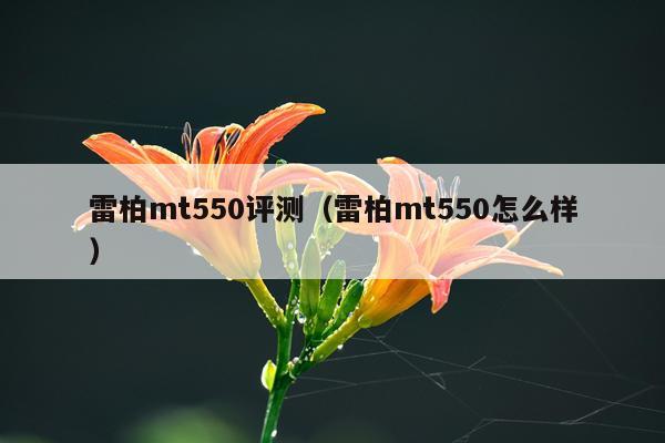 雷柏mt550评测（雷柏mt550怎么样）