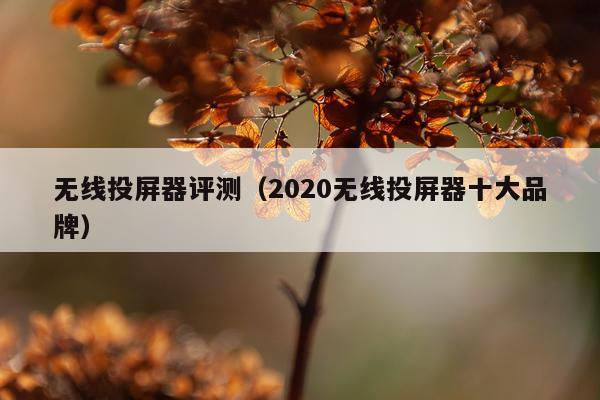 无线投屏器评测（2020无线投屏器十大品牌）
