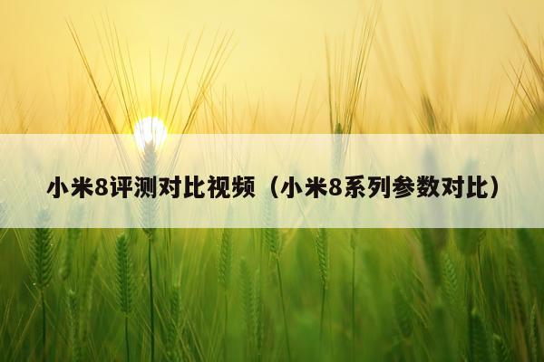 小米8评测对比视频（小米8系列参数对比）