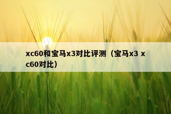 xc60和宝马x3对比评测（宝马x3 xc60对比）