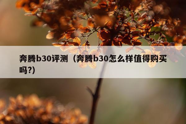 奔腾b30评测(奔腾b30怎么样值得购买吗?)