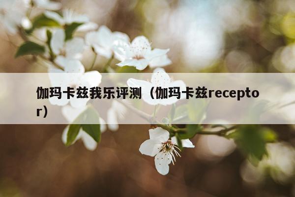 伽玛卡兹我乐评测（伽玛卡兹receptor）