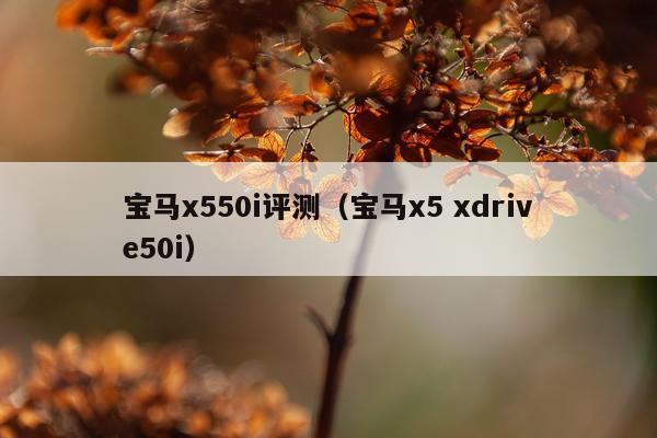 宝马x550i评测(宝马x5 xdrive50i)