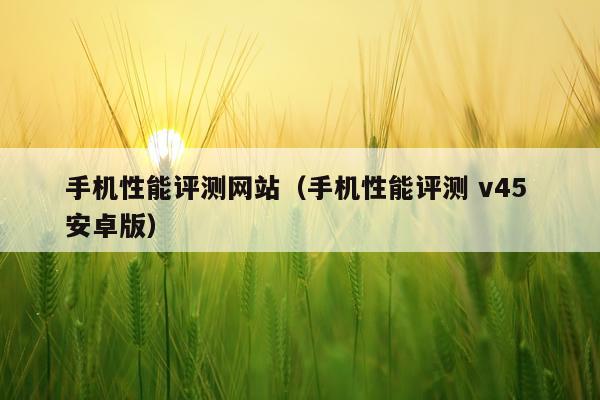 手机性能评测网站（手机性能评测 v45 安卓版）
