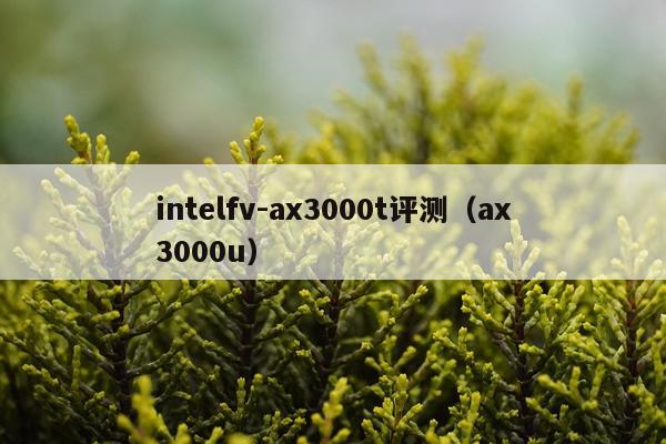intelfv-ax3000t评测(ax3000u)