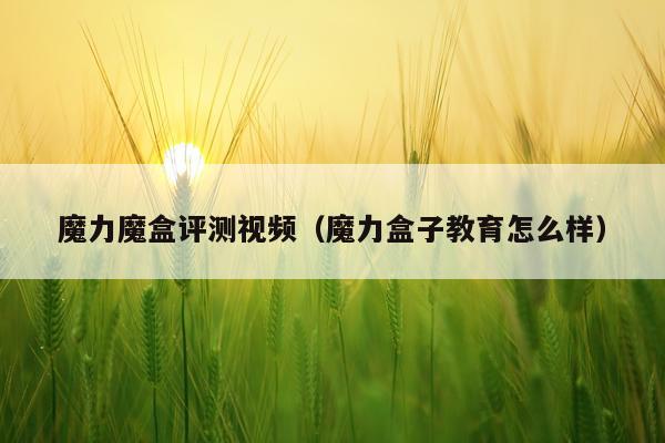 魔力魔盒评测视频(魔力盒子教育怎么样)