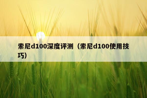 索尼d100深度评测（索尼d100使用技巧）